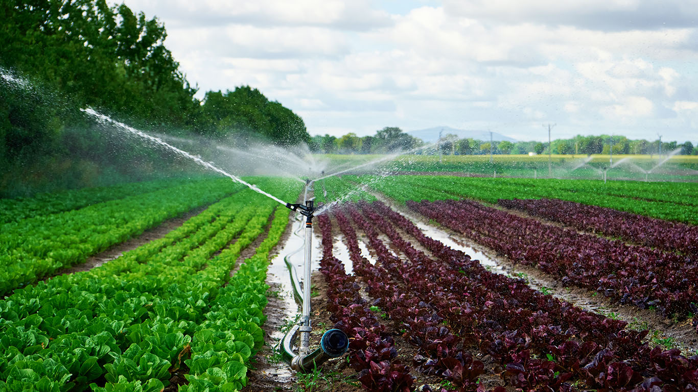A sprinkler irrigation maintenance system watering the field.