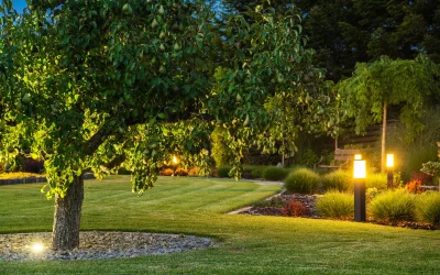 Creating a Stunning Nighttime Look with Commercial Landscape Lighting