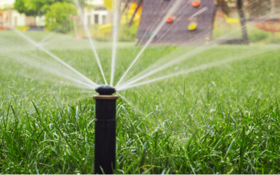 Why Commercial Properties Need Proactive Irrigation Care