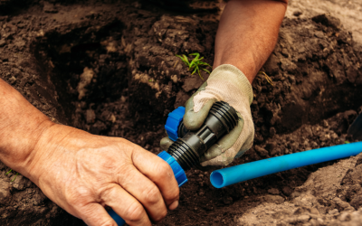 Irrigation Maintenance Tips Every Homeowner Secretly Needs