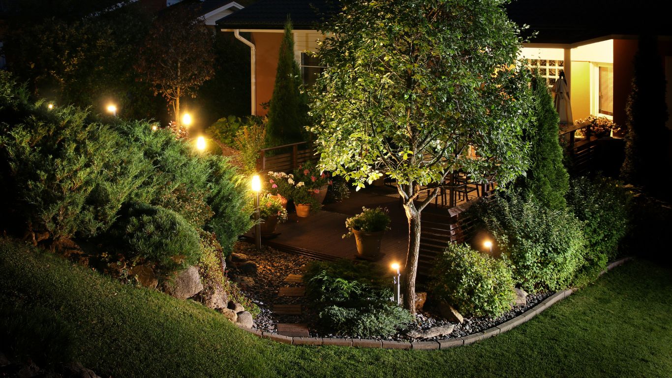 Beautiful backyard with professional landscape lighting highlighting trees, pathways, and garden features for a warm, inviting outdoor space.