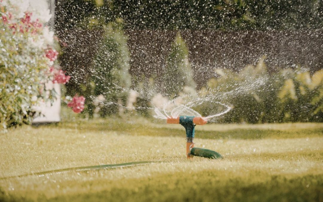 Make Your Lawn Thrive With Top‑Rated Irrigation Services in Florida