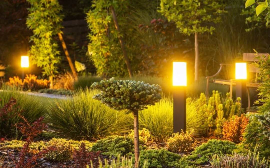 Modern Residential Landscape Lighting Ideas for Florida Properties