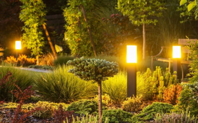 Modern Residential Landscape Lighting Ideas for Florida Properties